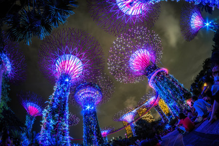 Gardens by the bay supertrees during garden rhapsody light show at night. Famous tourist attraction in Singapore. Taken on October 8th 2022のeditorial素材