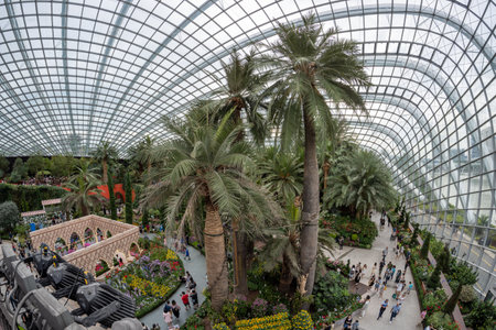 Flower Dome in Gardens by the Bay with various floras and trees. Famous travel destination in Singapore on October 8th 2022のeditorial素材