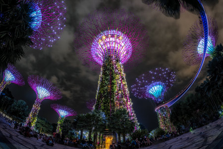 Gardens by the bay supertrees during garden rhapsody light show at night. Famous tourist attraction in Singapore. Taken on October 8th 2022のeditorial素材