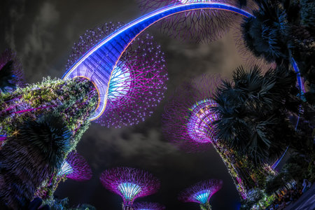 Gardens by the bay supertrees during garden rhapsody light show at night. Famous tourist attraction in Singapore. Taken on October 8th 2022のeditorial素材