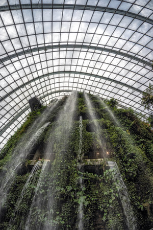 Looking up at the indoor waterfall in Cloud Forest in Gardens of the Bay in Singapore. Taken on October 8th 2022のeditorial素材