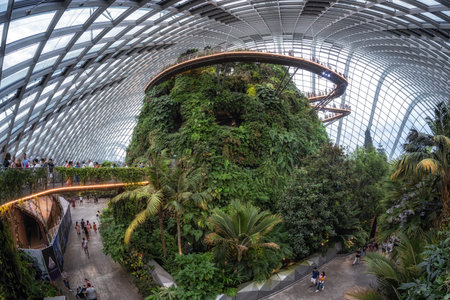 Cloud forest with the view of surrounding vegetation during mist hours. Taken in Gardens by the bay in Singapore on October 8th 2022のeditorial素材