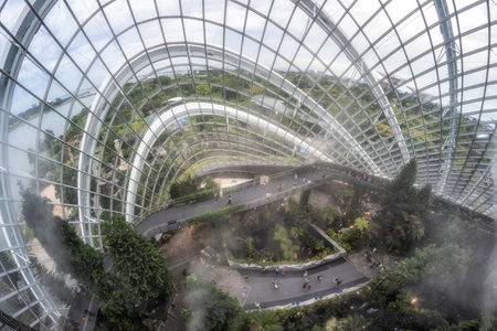 Tourists walking on cloudwalk during mist time in Cloud Forest in Gardens by the bay Singapore. Taken on October 8th 2022のeditorial素材
