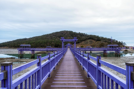 Sinan purple islands with purple colored bridges and walkways. Famous tourist destination located off the coast of Anjwa Island in Sinan, South Koreaの写真素材