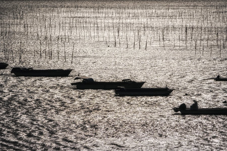 The view of various fishing boats off the coast of Sinan County in South Korea. Taken during sunset timeの写真素材