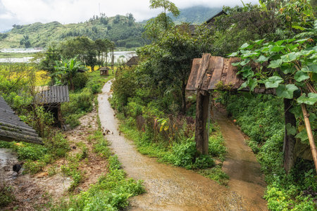 Quiet serene farm countryside view taken in a small village in Sapa, Vietnamの写真素材