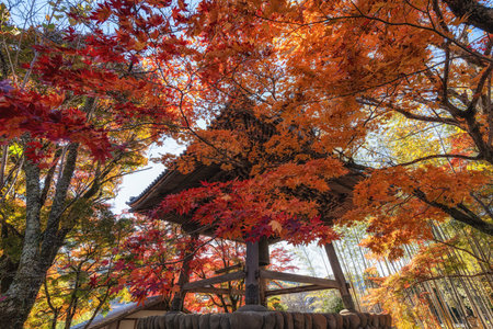 Shoro shuzenji temple bell tower taken with autumn maple tree leaves. Famous landmark in Shuzenji,...