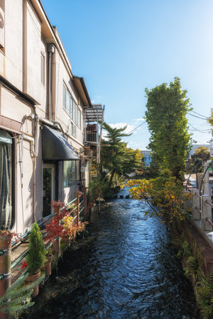 Mishima Genbei small stone step walkway scenery taken during autumn foliage season. Famous tourist attraction in Mishima, Shizuoka, Japanの写真素材
