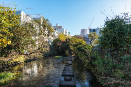 Mishima Genbei small stone step walkway scenery taken during autumn foliage season. Famous tourist attraction in Mishima, Shizuoka, Japanの写真素材