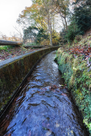Small waterway canal in the mountains near Izu, Shizuoka, Japanの写真素材
