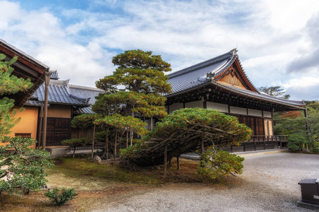 Ship shaped Pine Rikusyu no Matsu in Kinkakuji temple. Famous landmark temple in Kyoto, Japanの写真素材