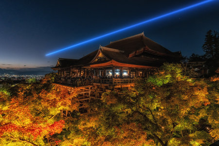 Kiyomizudera lit up taken at night during autumn fall foliage season. Famous landmark in Kyoto, Japanの写真素材
