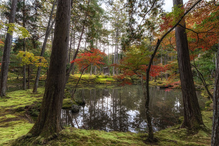 Saihoji Kokedera Temple moss garden and surrounding autumn foliage view. Famous UNESCO building in Kyoto, Japanの写真素材