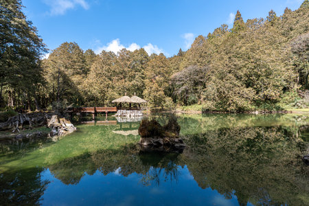 Sister Ponds in Alishan National Park surrounded by tall cypress trees. Famous travel destination in Taiwan.の写真素材