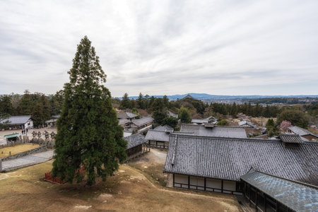 Nara Panoramic View from top of Todai-ji Nigatsu-do temple. Taken during spring blossom season in Nara, Japanの写真素材