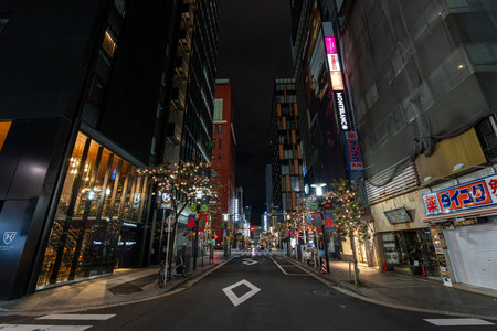 Ginza street taken at night with various christmas decorations. Taken in Ginza, Tokyo, Japan on November 22 2025のeditorial素材