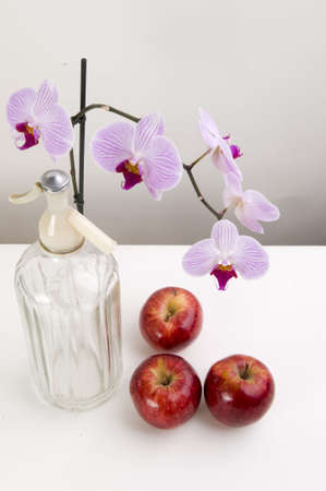 Still nature with orchids and applesの写真素材
