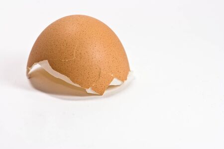 egg shell on white background