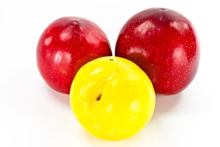 plums on white backgroundの写真素材