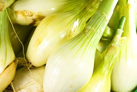 fresh onions closeupの写真素材