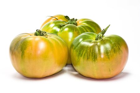 fresh tomatoes isolatedの写真素材