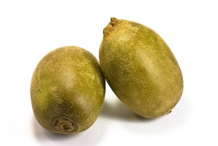 kiwi on white backgroundの写真素材