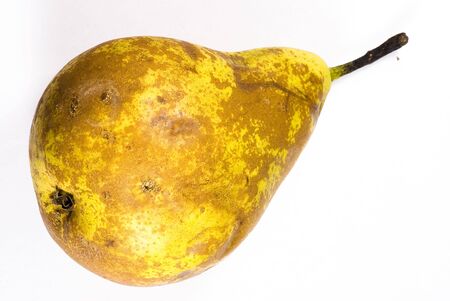 pear on white backgroundの写真素材