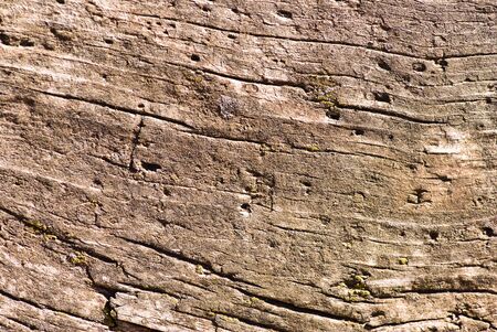 wood textureの写真素材