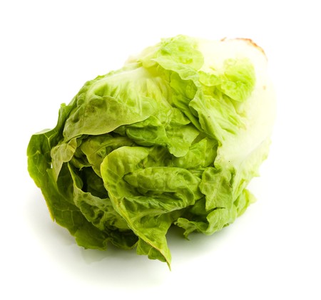 lettuceの写真素材