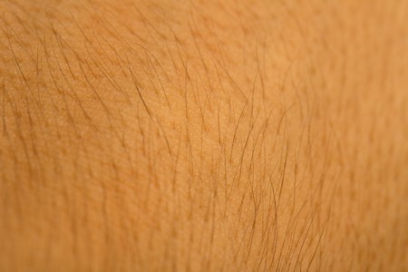 human skin closeupの写真素材