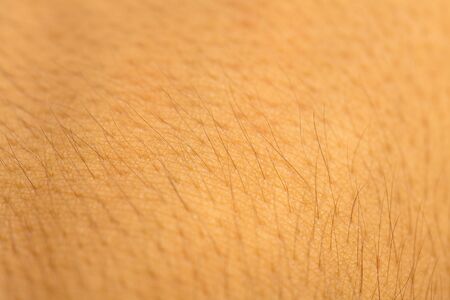 human skin closeupの写真素材