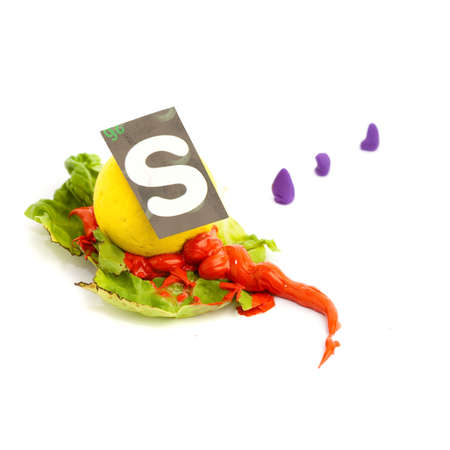 s letterの写真素材
