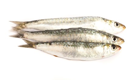 raw fishの写真素材