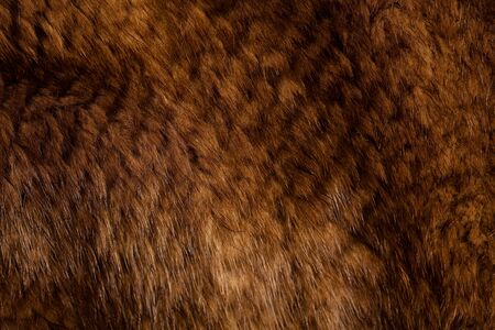 coat textureの写真素材