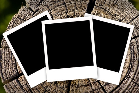 photosの写真素材