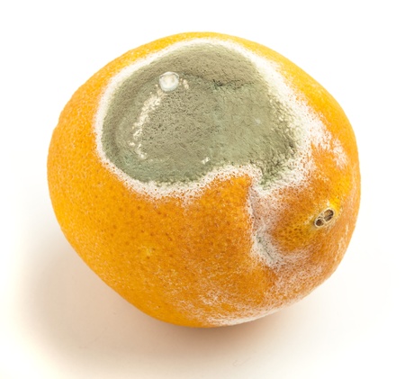 damaged lemon isolated on a white backgroundの写真素材