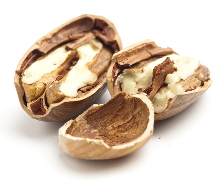 pecan nut broken isolated on a white background