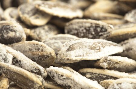 closeup of a sunflower seeds stack on white backgroundの写真素材