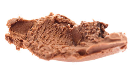 delicious chocolate ice cream on white background
