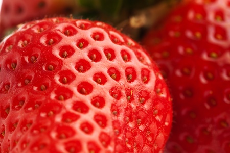 delicious and fresh strawberries group, extreme closeup photo の写真素材