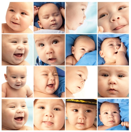 group of different baby picturesの写真素材