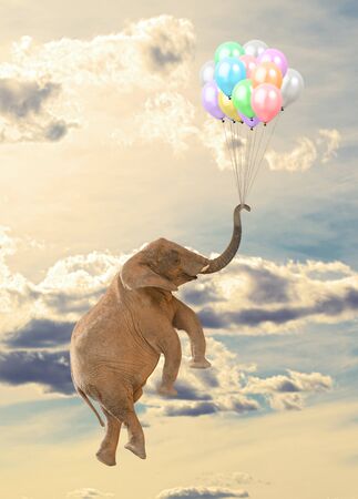 Elephant Flying With Balloon In Skyの写真素材