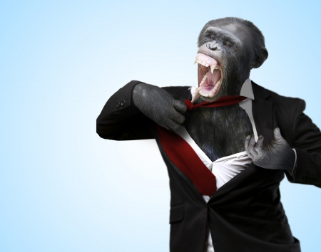 Annoyed Monkey Shouting On Turquoise Background Annoyed Monkey Shouting On Turquoise Background
