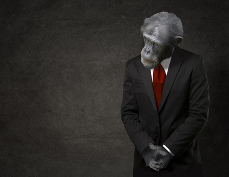 Business Monkey In Formal Attire On Black Background Business Monkey In Formal Attire On Black Background