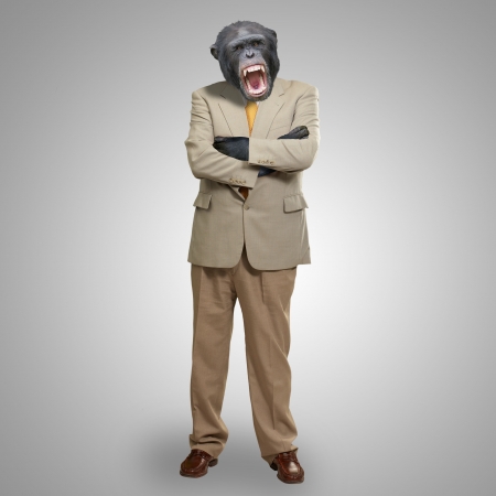 Angry Gorilla In Suit On Grey Backgroundの写真素材