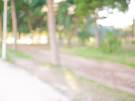 Blurred defocused natural backgroundの写真素材