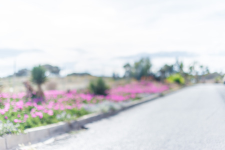 Defocused and blurred background, outdoorの写真素材