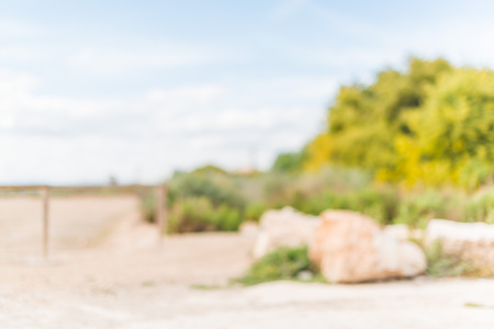 Blurred defocused natural backgroundの写真素材