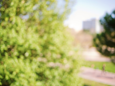 Blurred defocused natural backgroundの写真素材