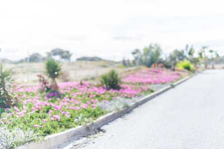Blurred defocused natural backgroundの写真素材